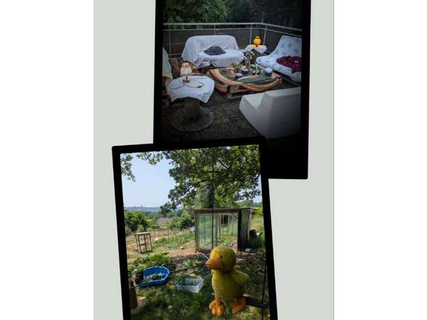 Colocation / Maison 10 pièces de 200 m², Limoges, Rue de Saint Gence / Photo 2