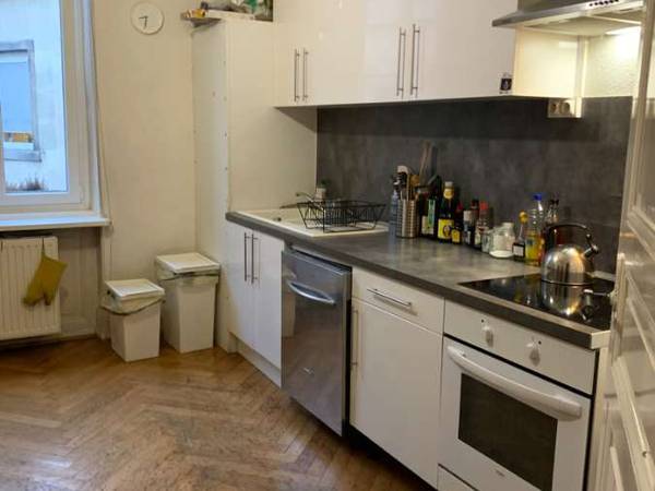 Colocation / Appartement 6 pièces de 140 m², Strasbourg, Avenue des Vosges / Photo 2