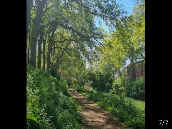 Sublet / 5-bedroom flat · 91 m², Toulouse, Allée de Barcelone / Photo 8