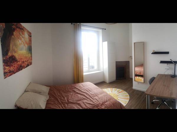 Colocation / Appartement 5 pièces de 100 m², Saint-Étienne, Rue Palluat de Besset / Photo 2