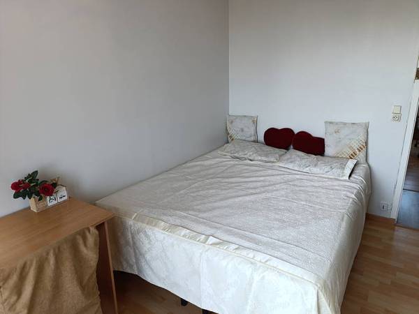 Chambre chez l'habitant / Appartement 1 pièce, Toulouse / Photo 11