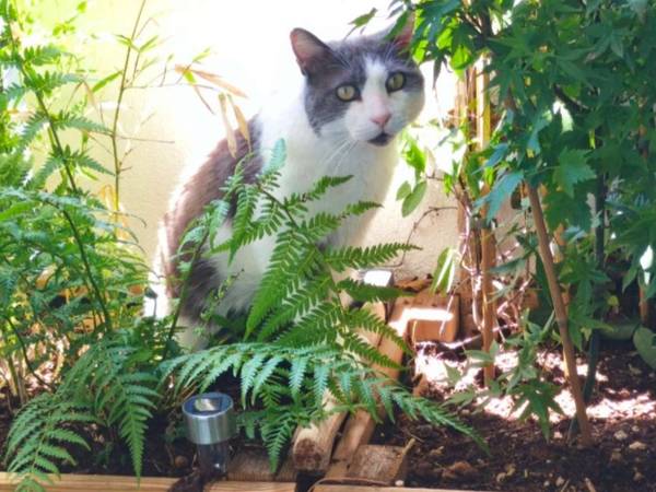 Colocation / Appartement 3 pièces de 62 m², Montpellier, Chemin de Moulares / Photo 2