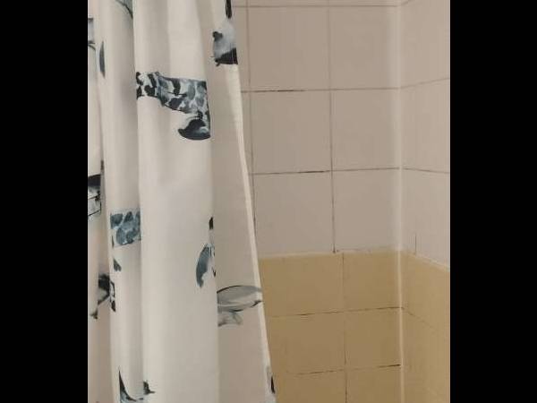 Sous-location / Appartement 2 pièces de 53 m², Vevey, Chemin de Pomey / Photo 10