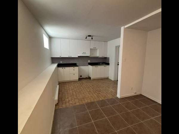 Location / Appartement 4 pièces de 500 m², Montréal, Avenue de Lorimier / Photo 7