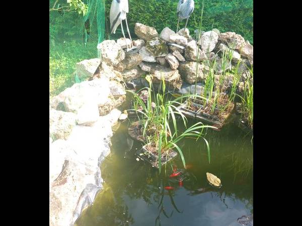 Location / Appartement, Courtisols / Photo 2