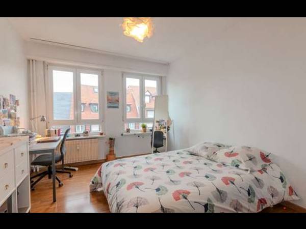 Colocation / Appartement 4 pièces de 76 m², Strasbourg, Rue du Faubourg-National / Photo 2