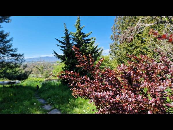 Colocation / Appartement 1 pièce de 20 m², Vufflens-la-Ville, Grand-Rue / Photo 7