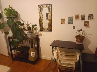 Sous-location / Maison 6 pièces de 160 m², Toulouse, Avenue de Courrège