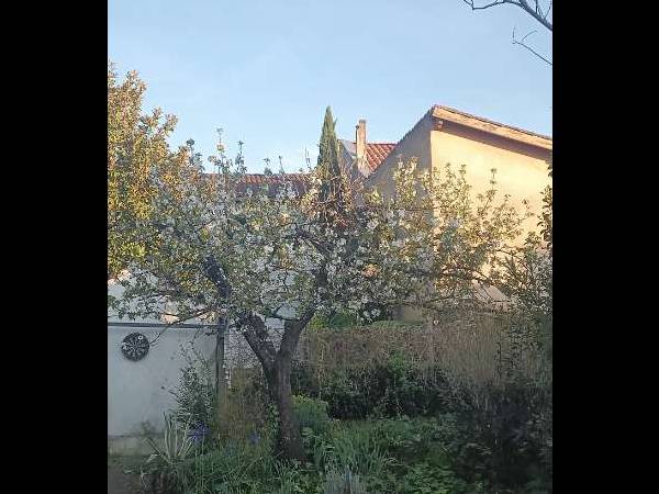 Sous-location / Maison 6 pièces de 160 m², Toulouse, Avenue de Courrège / Photo 6