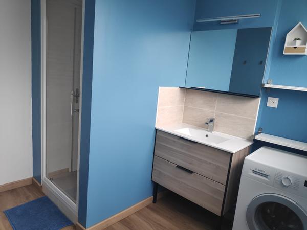 Colocation / Appartement 4 pièces de 70 m², Tours, Rue du capitaine pougnon / Photo 3