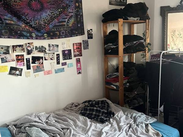 Colocation / Appartement 5 pièces de 88 m², Montpellier, Rue du Cheval Vert / Photo 2