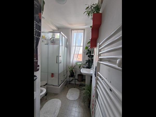 Sublet / 3-bedroom flat · 42 m², Paris, Rue Philippe de Girard / Photo 3