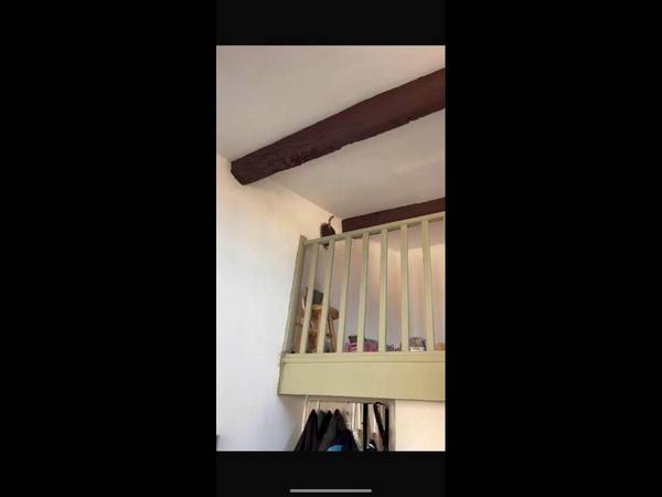 Sous-location / Studio de 29 m², Marseille, Rue Baussenque / Photo 2