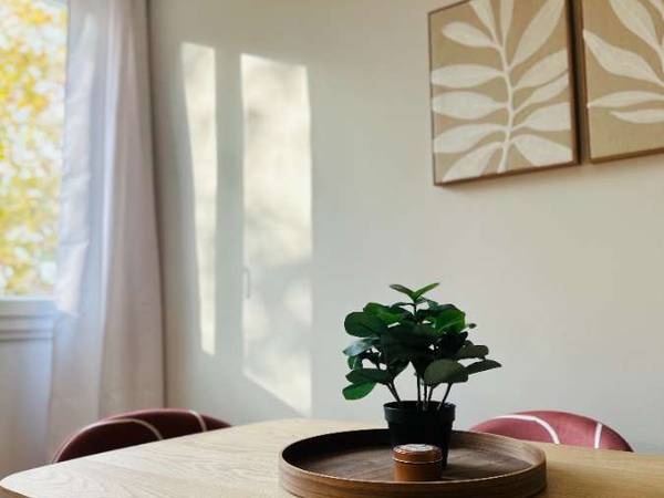 Colocation / Appartement 5 pièces de 81 m², Villeurbanne, Rue Pierre Voyant / Photo 2