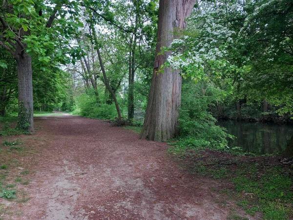 Colocation / Appartement 6 pièces de 65 m², Savigny-sur-Orge, Rue des Rossays / Photo 7