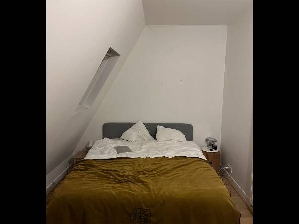 Colocation / Appartement 5 pièces de 110 m², Paris, Rue d'Alençon / Photo 6