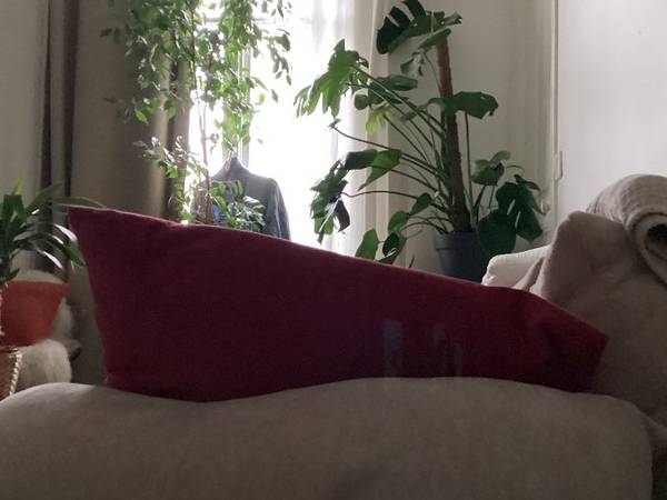 Sous-location / Immeuble 3 pièces de 80 m², Paris, Rue de Crimée / Photo 2
