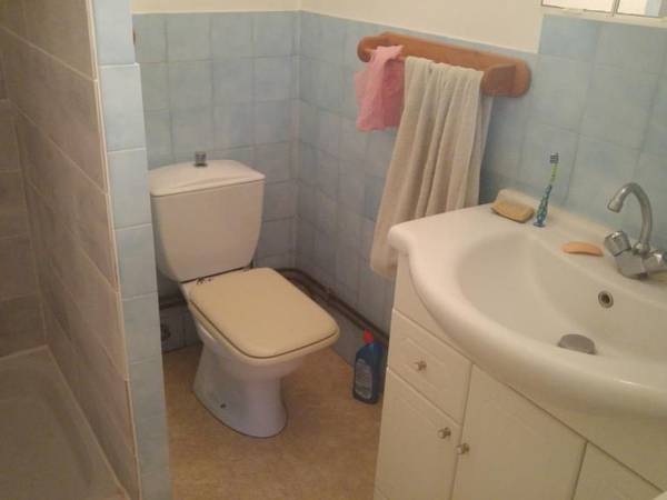 Location / Appartement 1 pièce, Albi / Photo 3