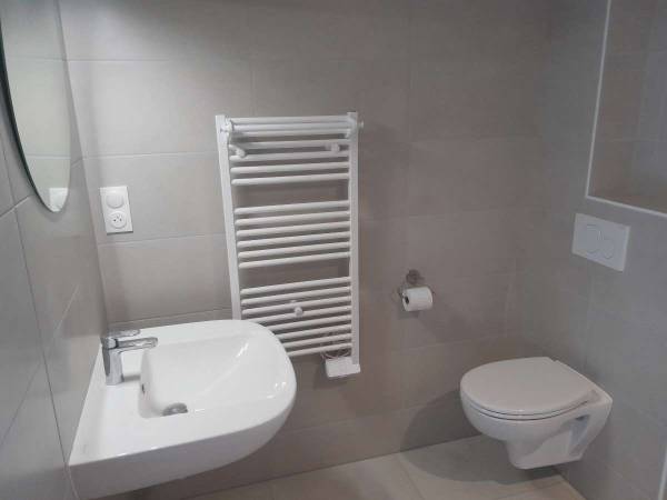 Rental / Studio · 30 m² , Martigné-Ferchaud, Chemin de la Soulvachère / Photo 8
