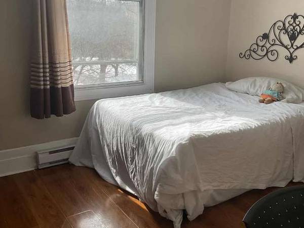 Colocation / Appartement 5 pièces de 850 m², Montréal, Rue Cartier / Photo 2