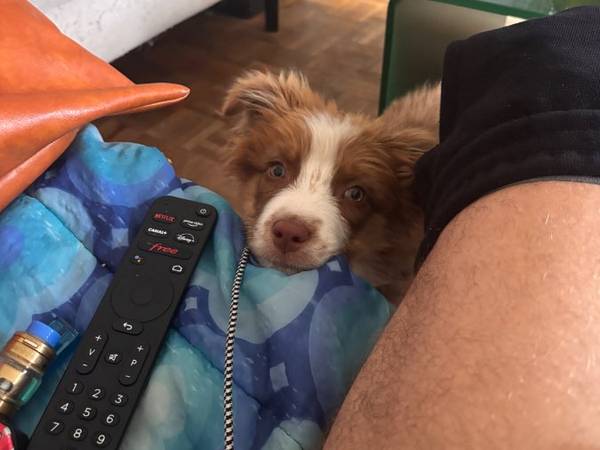 Chambre chez l'habitant / Appartement 6 pièces de 90 m², Toulouse, Allée de Barcelone / Photo 9