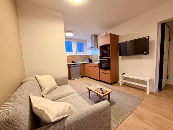 Colocation / Appartement 5 pièces de 70 m², Ambilly, Rue de Geneve / Photo 2