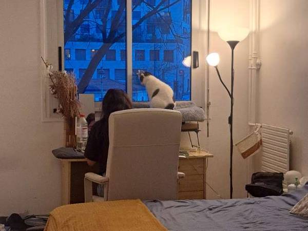 Chambre chez l'habitant / Appartement 2 pièces de 60 m², Paris, Quai de l'Oise / Photo 10