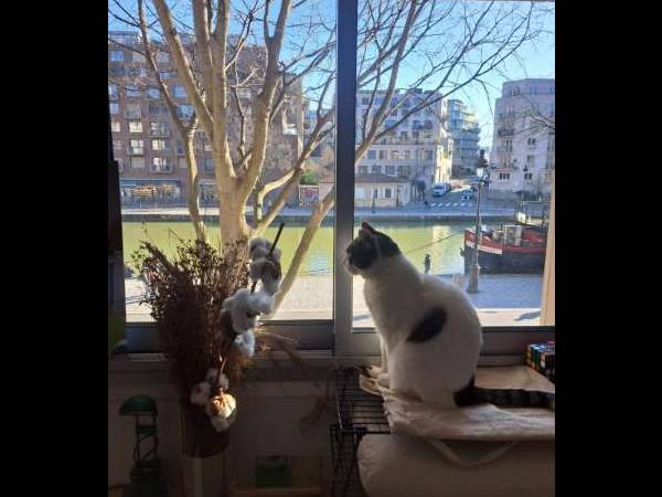 Chambre chez l'habitant / Appartement 2 pièces de 60 m², Paris, Quai de l'Oise / Photo 10