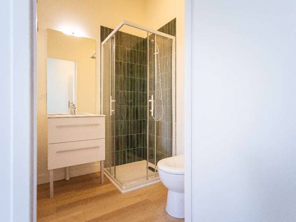 Coliving / Maison 10 pièces de 240 m², Toulouse, Boulevard Jean Brunhes / Photo 6
