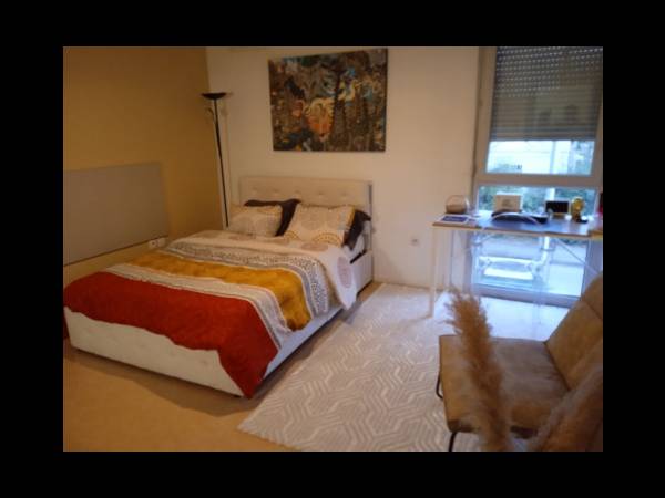 Location / Résidence 1 pièce de 23 m², Toulouse, 158 Rue Dominique Clos / Photo 19