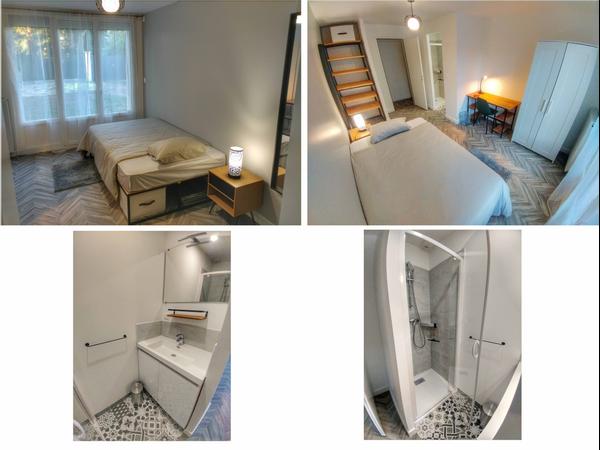 Colocation / Maison 6 pièces de 180 m², Saint-Jean-le-Blanc / Photo 2