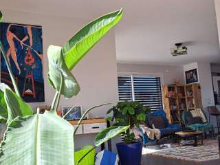 Chambre chez l'habitant / Appartement 5 pièces de 110 m², Annecy, Impasse des Tablettes