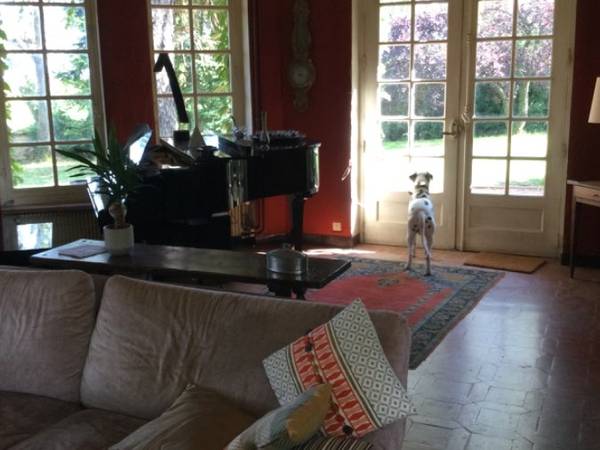 Colocation / Maison 7 pièces de 220 m², Salles-Arbuissonnas-en-Beaujolais, Route du Viaduc / Photo 8