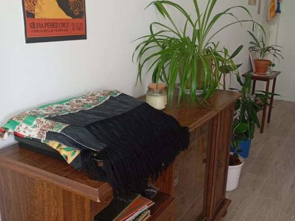 Colocation / Appartement 4 pièces de 89 m², Bordeaux, Boulevard Jean Jacques Bosc / Photo 2
