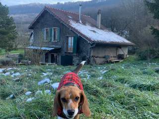 Flatsharing / 5-bedroom house · 90 m², Beaufort-Orbagna, Route d'Augisey