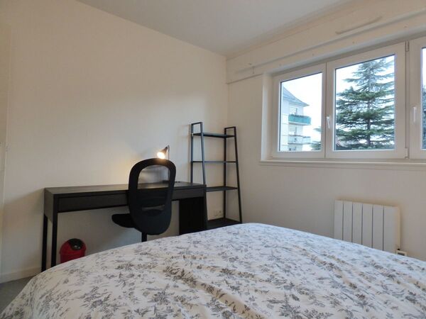 Colocation / Appartement 3 pièces de 55 m², Strasbourg, Route du Polygone / Photo 2