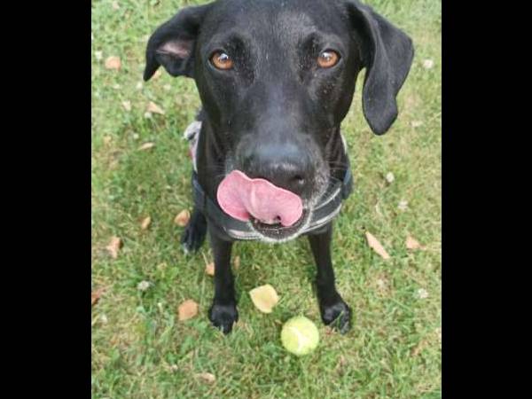 Colocation / Appartement 2 pièces de 55 m², Grenoble, Rue Lavoisier / Photo 8