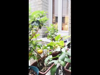 Colocation / 3 rooms apartment · 63 m², Paris, Villa Ornano