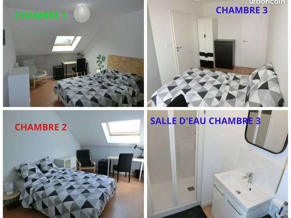 Colocation / Appartement 4 pièces de 72 m², Nantes, Impasse du Baut / Photo 3