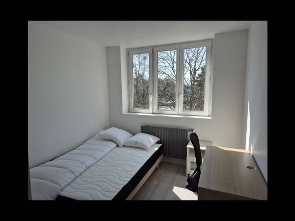 Colocation / Appartement 9 pièces de 150 m², Lille, Avenue Louise Michel / Photo 9