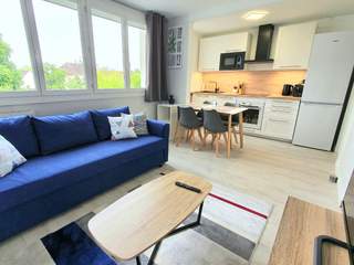 Room share, 4 rooms apartment, Olivet