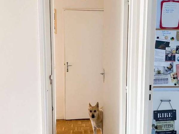 Colocation / Appartement 3 pièces de 69 m², Paris, Rue de Joinville / Photo 14