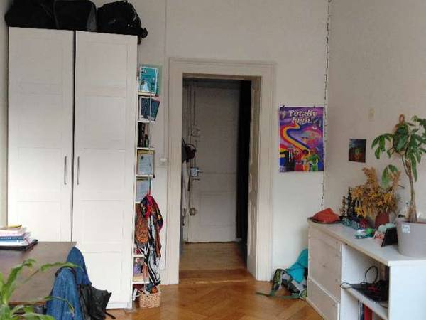 Colocation / Appartement 6 pièces de 137 m², Strasbourg, Rue Oberlin / Photo 8