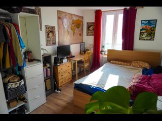 Sublet / 1-bedroom flat · 12 m², Nancy, Rue Jeanne d'Arc