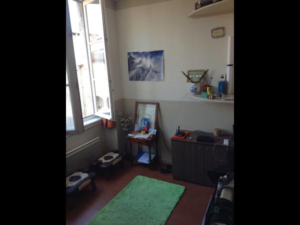 Colocation / Appartement 1 pièce de 36 m², Lyon / Photo 2