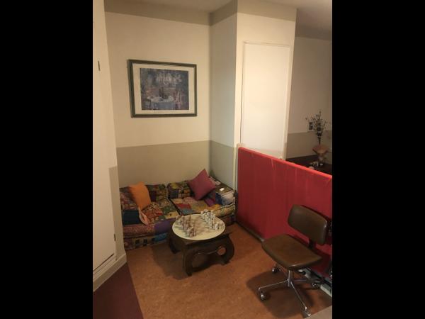 Colocation / Appartement 1 pièce de 36 m², Lyon / Photo 6