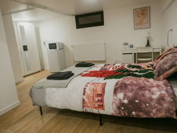 Colocation / Maison 9 pièces de 190 m², Strasbourg, Rue Montesquieu / Photo 10