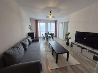 Colocation, Appartement 4 pièces, Toulouse