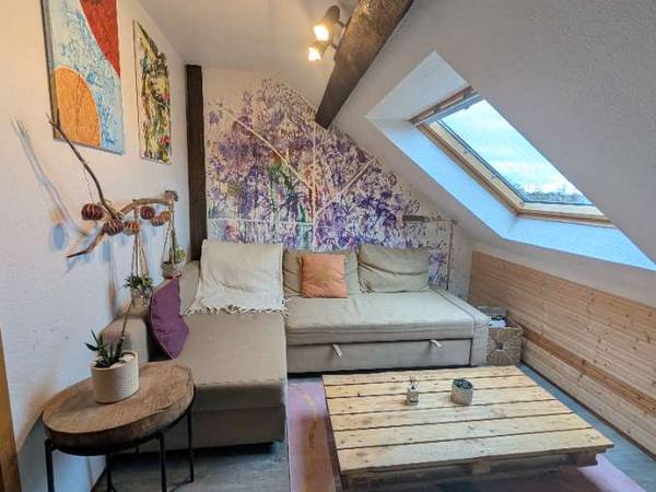 Sous-location / Appartement 2 pièces de 47 m², Strasbourg, Rue du Héron / Photo 20