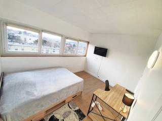 Room in a live-in landlord's home / 1 room apartment, Antony